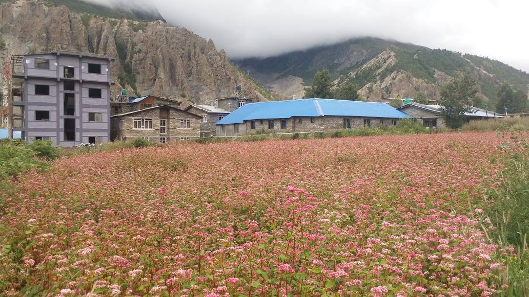 fapar_farming_manang__4_6SHiVM7yIT