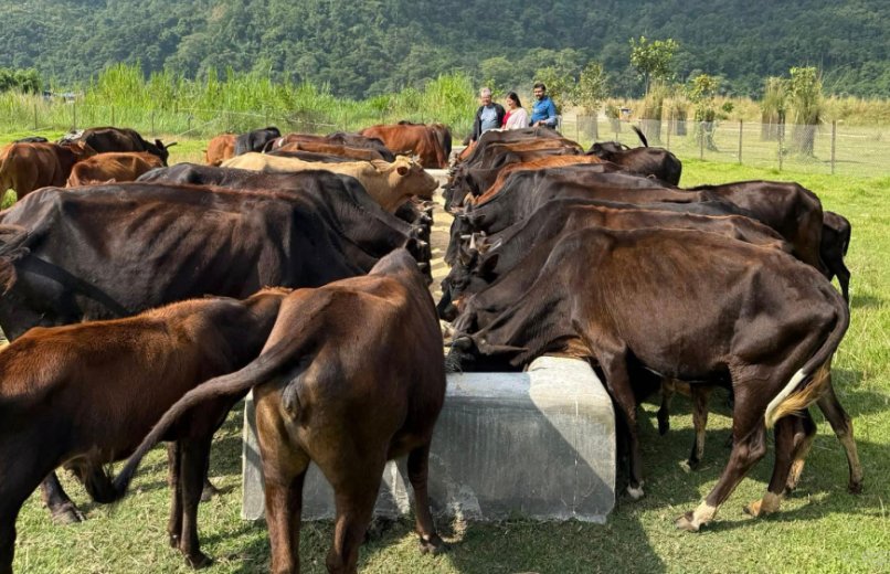 gau-samraxad_BkZFQmhlKS