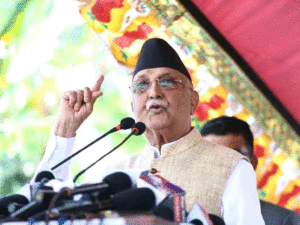 kp-oli