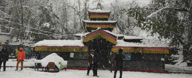 mustang-himpat–768×315