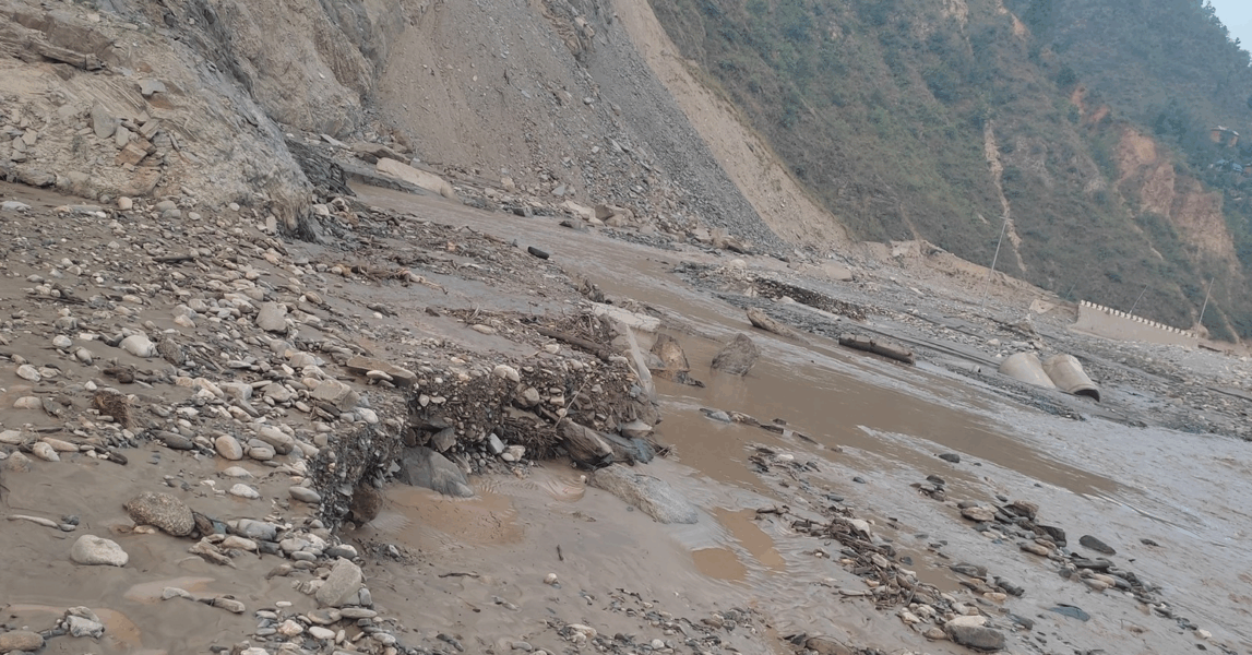 roshi2025-05-13-09-20-03