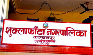 suklafata1_L8Wka6G5vX