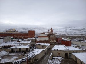 अविरल वर्षासंगै आएको बाढीले तेताङमा १२ च्यांग्रा मरे,सिचाई कुलो र खानेपानीमा क्षति