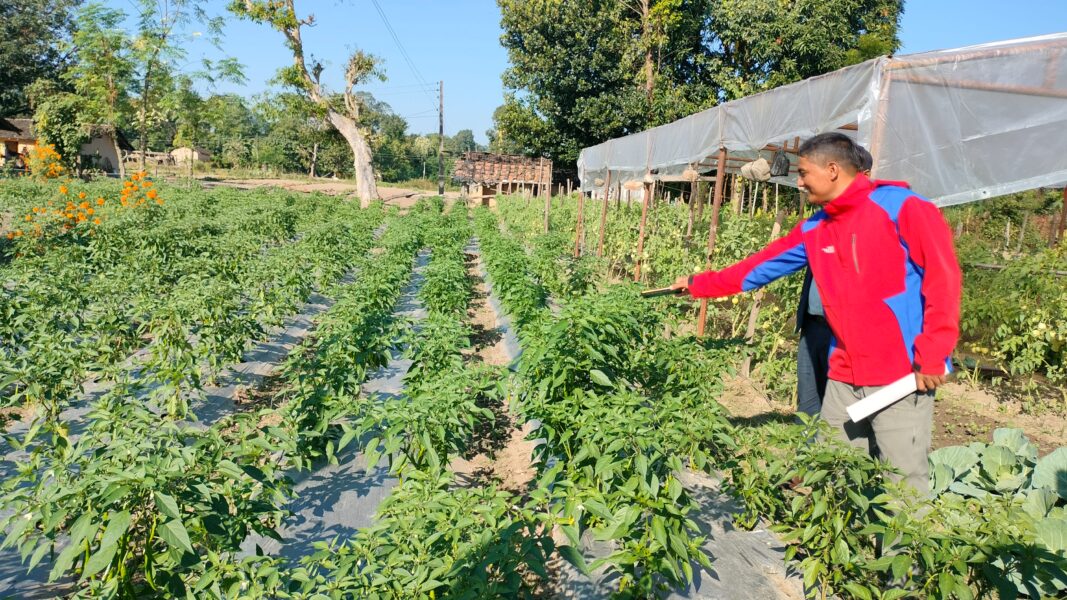 2eef6c17-8959-4e79-a6d4-614af8e5de8d (1)