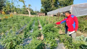 2eef6c17-8959-4e79-a6d4-614af8e5de8d (1)