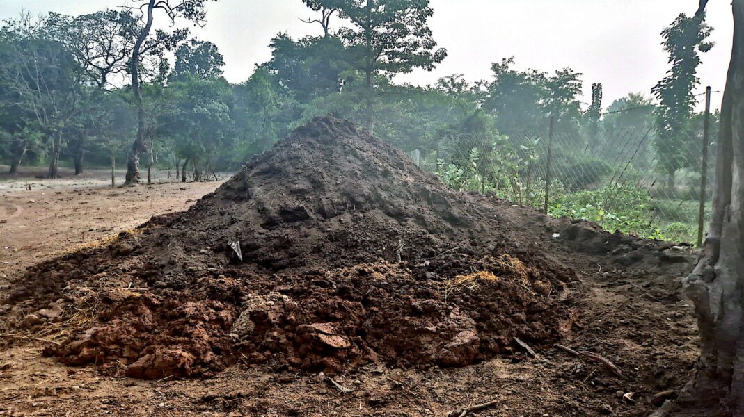 574894813_2969583326560037_1436235329060268229_n