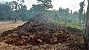 574894813_2969583326560037_1436235329060268229_n