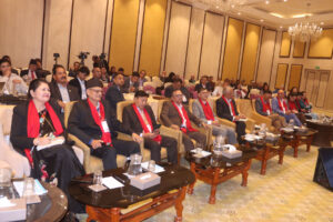 HariramBhetuwal_KTM_RSS_16_1000256799