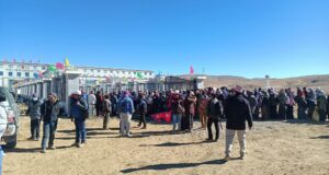 Korala-naka-mustang-1