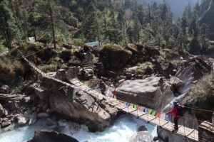 Mauris Harjok traking root bridge (1)