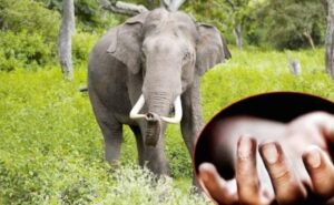 Screenshot-2024-10-15-104517