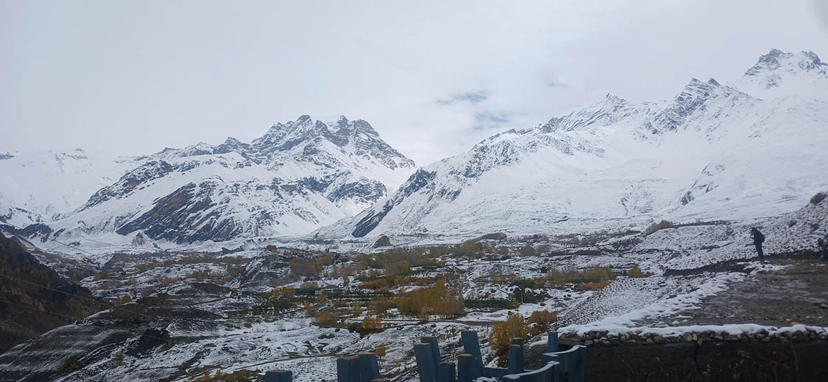 SushilbabuThakali_MustangJomsome_RSS_13_SnowMustang1761816049434