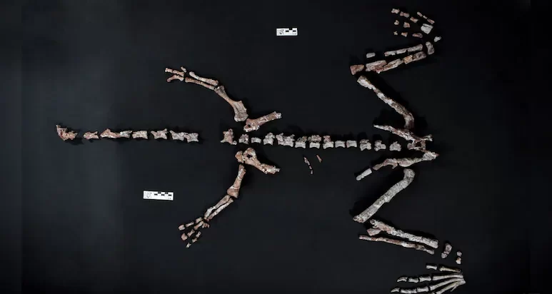 a4h8fc1k_argentina-dinosaur_625x300_16_October_25-e1760628814372