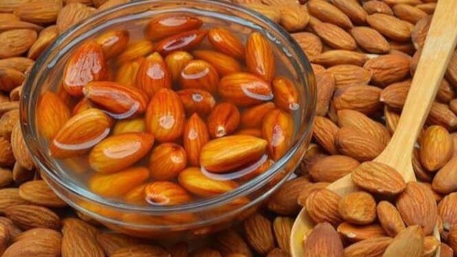 badam_Pjhblho3ld-e1764132583436