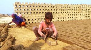 CREATOR: gd-jpeg v1.0 (using IJG JPEG v62), quality = 82