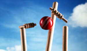 cricket-1_3DPrScxglG