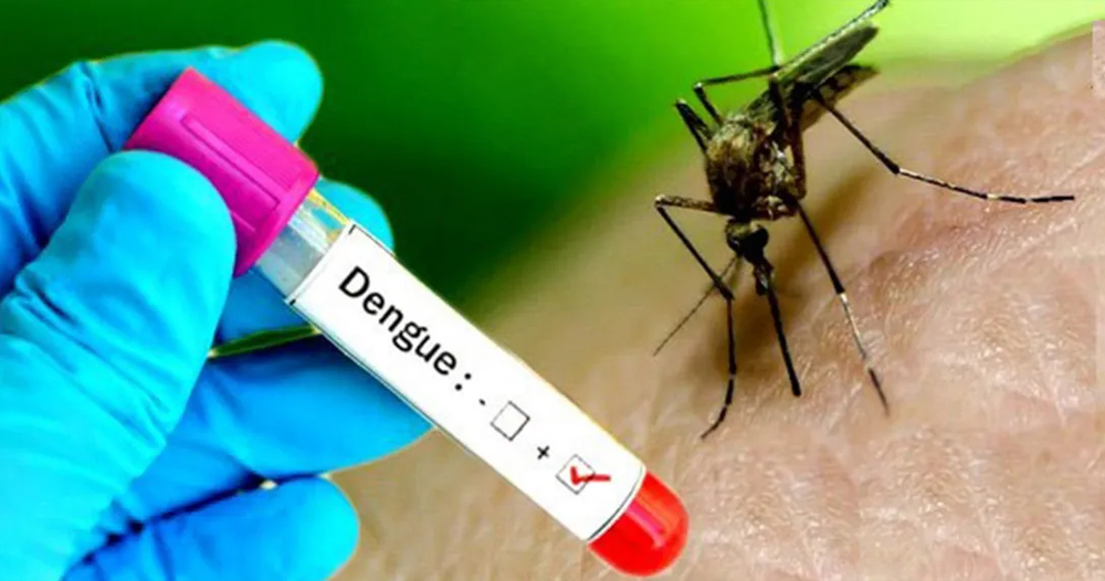dengue
