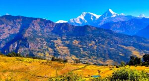 phantai bhari pahelai unnat jatka dhan