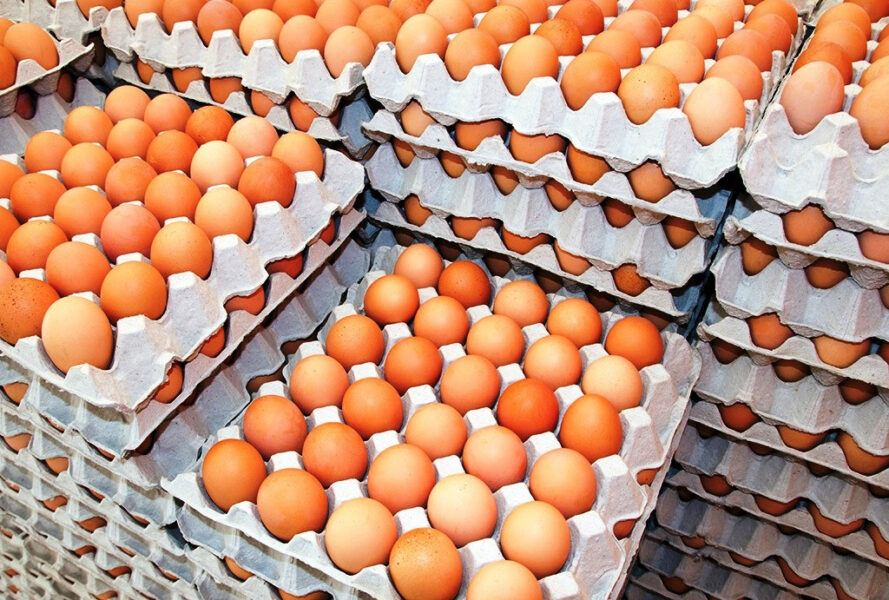 1587199302egg-cartons (1)