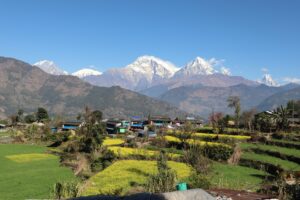 Toripani Homestay (7)