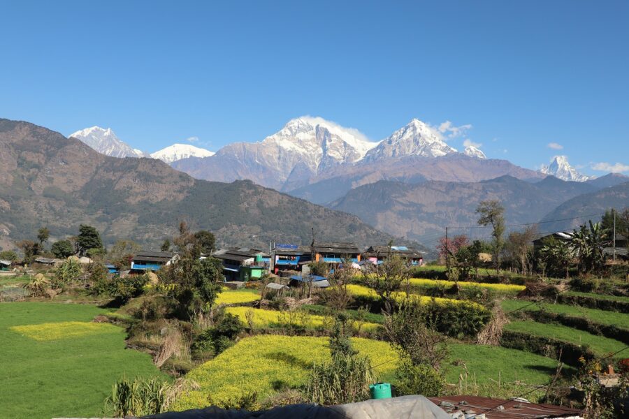 Toripani Homestay (7)