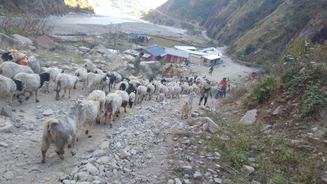 f56c2fec-8568-4238-909c-e86b992bd9bb