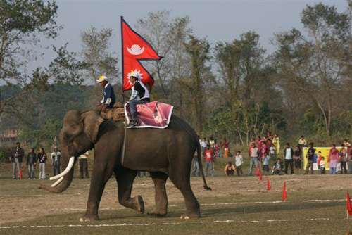 hatti-mahotsab_d0oRcydIHg