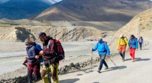 mustang-tourist-768×422-1