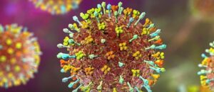 1769130772653-nipha-2212026111338-watermarked