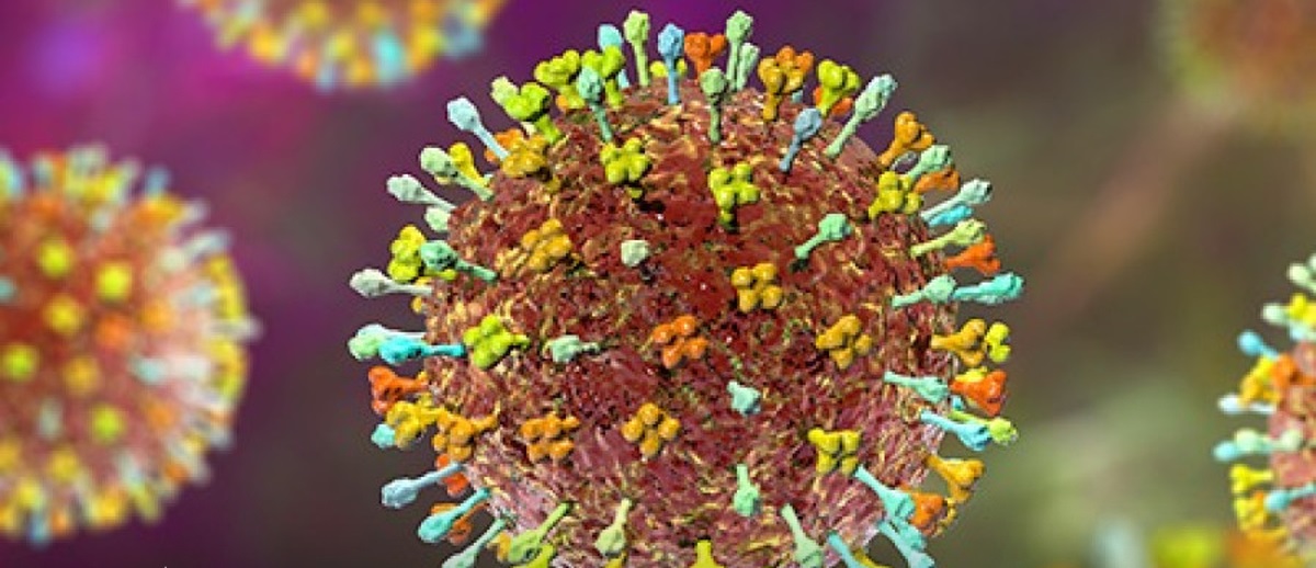 1769130772653-nipha-2212026111338-watermarked