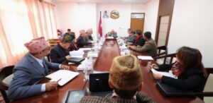 Cabinet-Poush 28 2082