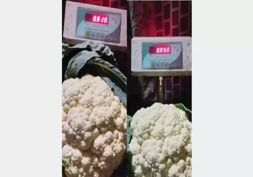 202312241512-4c82ea89-79a5-4f3a-a7a7-5ab58041638e_medium2023-12-24-03-28-17_1000x700_50