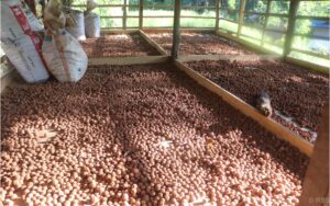 202603180312-19169889-94e2-4bd5-8569-b9b8f35757c0_medium