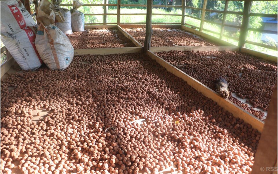 202603180312-19169889-94e2-4bd5-8569-b9b8f35757c0_medium