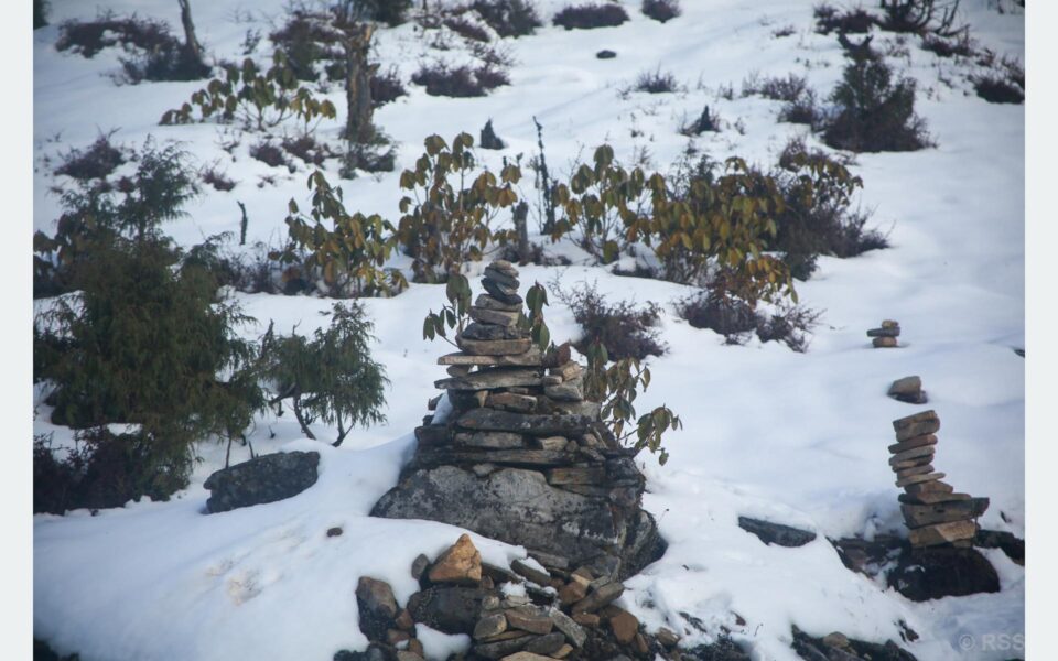 202604230927-eaac584b-6961-4dcd-b395-1f29da9c0dfd_medium