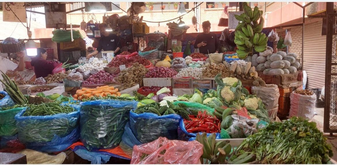 fruits-e1747535274454