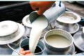 milk-chitawan2024-02-15-04-02-46-768×432