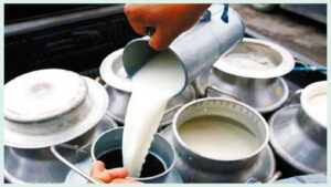 milk-chitawan2024-02-15-04-02-46-768×432