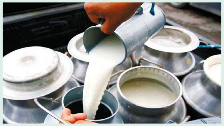 milk-chitawan2024-02-15-04-02-46-768×432