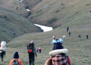 yarsagumba-collection-experince-trek