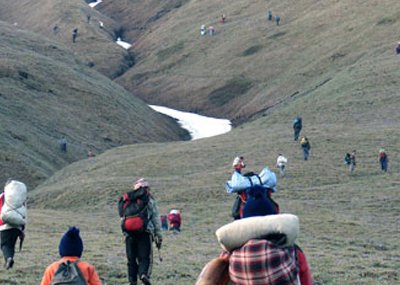 yarsagumba-collection-experince-trek